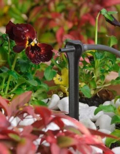 Drip Irrigation System - 50 PC Dripper -Irrigation Tool Store drip irrigation systems drip irrigation system 50 dripper 7548576453