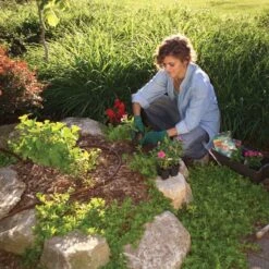 Rain Bird Drip Line 100 Metre - Pressure Compensating 8 Rain Bird Drip Line 100 Metre - Pressure Compensating -Irrigation Tool Store drip line drip line 100 metre roll long run 2541327646816