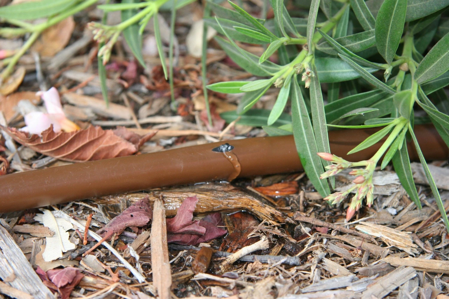 Rain Bird Drip Line 100 Metre - Pressure Compensating 4 Rain Bird Drip Line 100 Metre - Pressure Compensating - Image 2