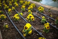 Claber Drip Line Bed/Border Irrigation Kit - 150 Metre 8 Claber Drip Line Bed/Border Irrigation Kit - 150 Metre -Irrigation Tool Store drip line fittings and accessories claber drip line bed border kit 150 metre 33250208219302