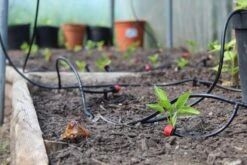 WaterMate Pro Automatic Greenhouse & Polytunnel Watering Kit -Irrigation Tool Store greenhouse watering system watermate pro automatic greenhouse polytunnel watering kit 32570867581094