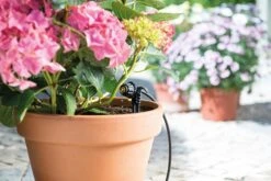 Hozelock Easy Drip Micro Dripper Kit - 7024 14 Hozelock Easy Drip Micro Dripper Kit - 7024 -Irrigation Tool Store hozelock watering system hozelock easy drip micro dripper kit 7024 15977058117