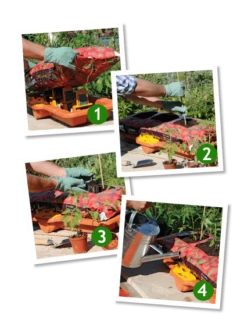 Hozelock Growbag Watering Kit - 2810 -Irrigation Tool Store hozelock watering system hozelock growbag watering kit 2810 32636620341414