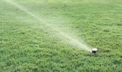 Rain Bird Maxi-Paw Pop Up Impact Sprinkler -Irrigation Tool Store pop up sprinklers rain bird maxi paw pop up impact sprinkler 7548542789